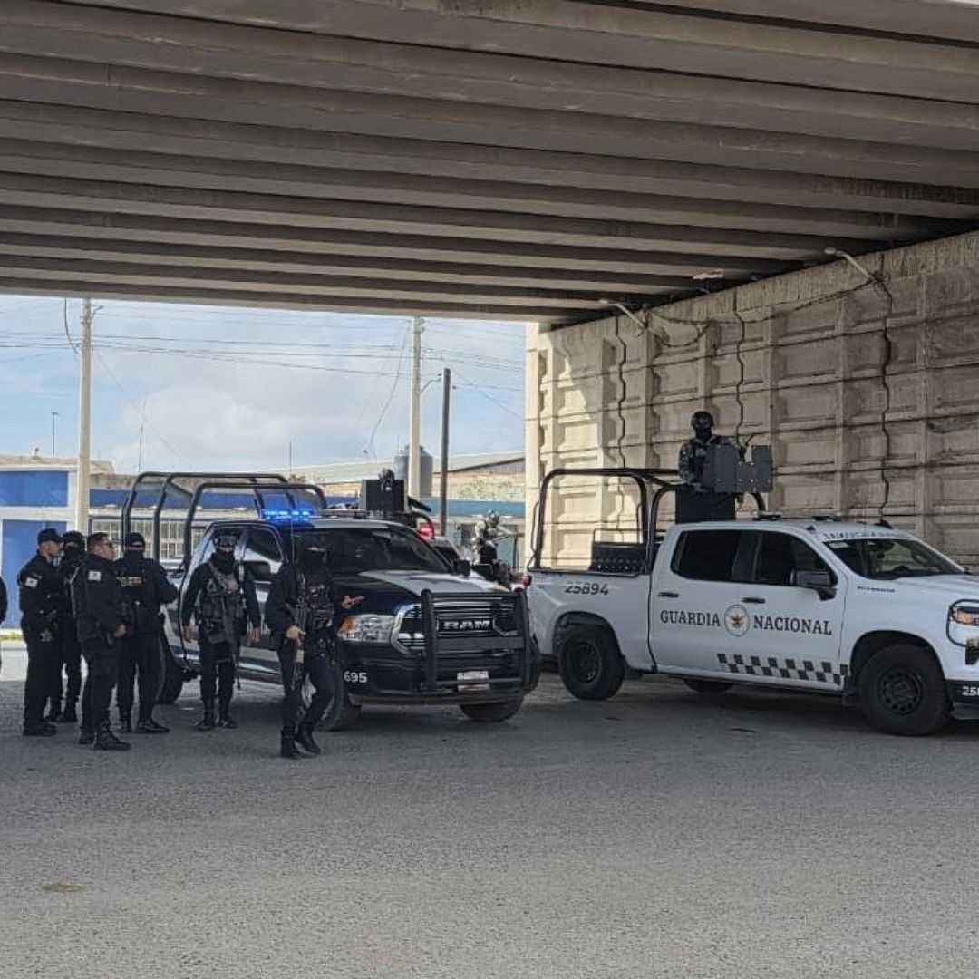 ¿Qué Pasó en Zacatecas el Fin de Semana? Así Fue el Hallazgo de 10 Cuerpos Colgados